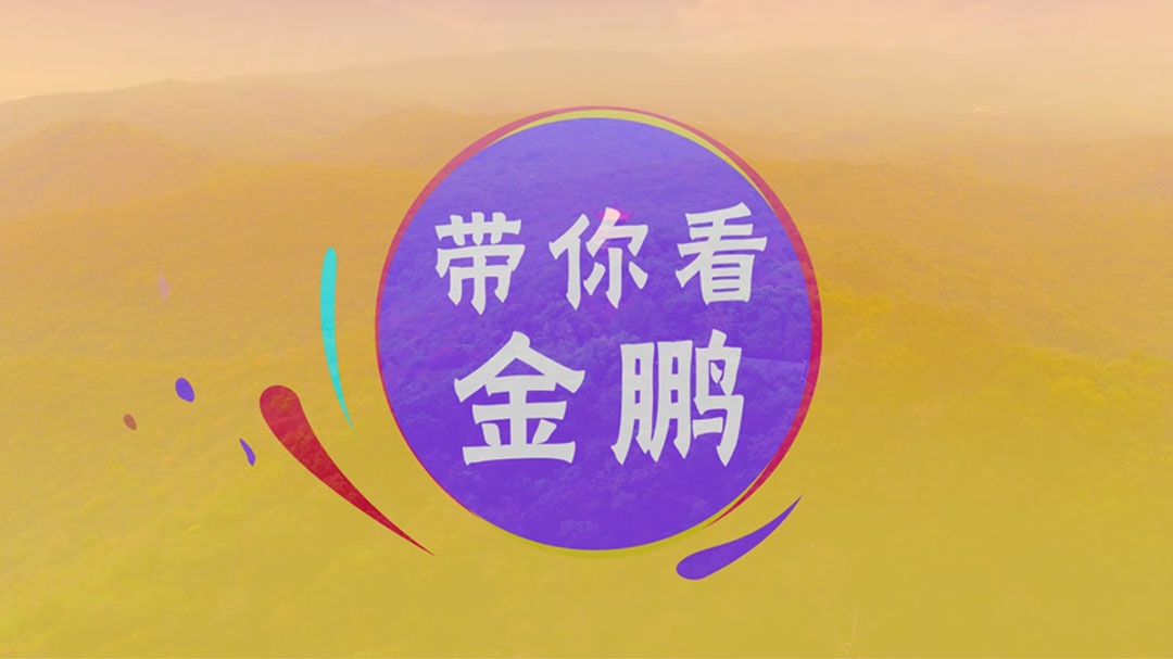 永利澳门